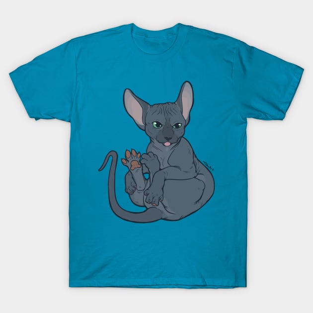 Sphynx Toes T-Shirt by TaksArt